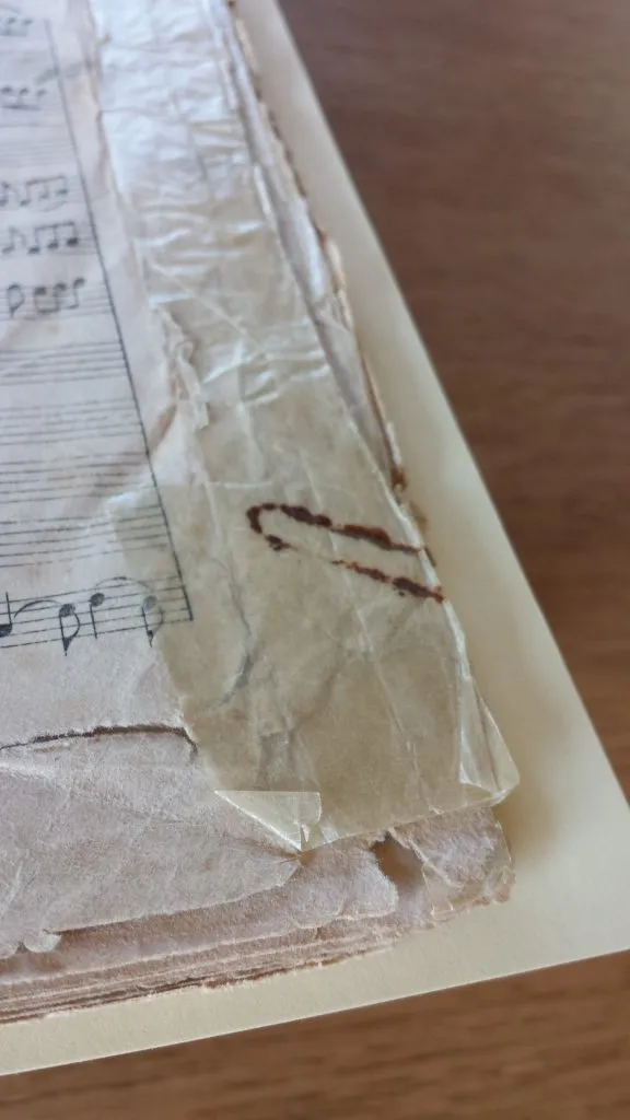 Damage to a manuscript caused by adhesive tape and rusting paper clip 